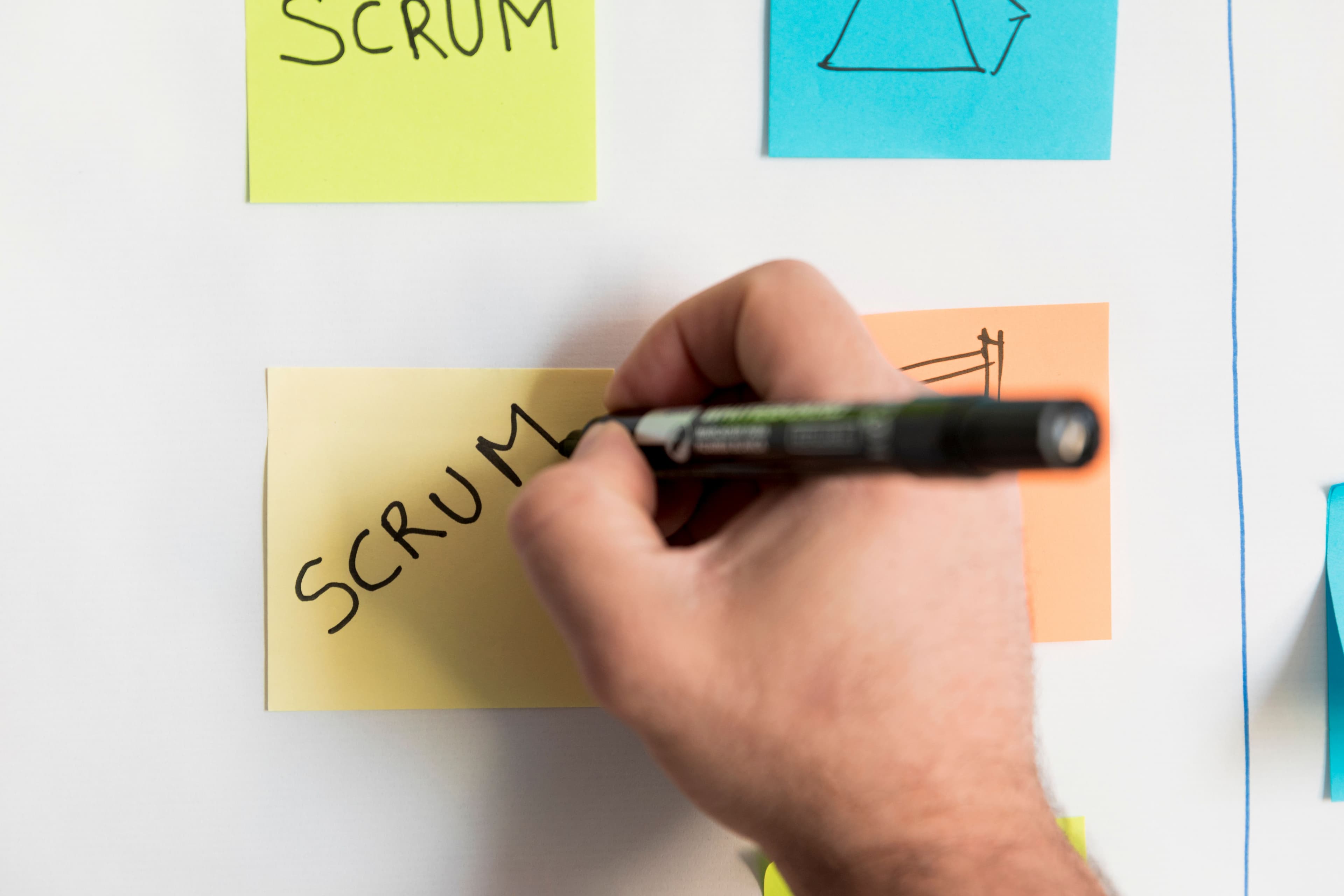 Agile Software Development Team: How to Structure Yours in 2024
